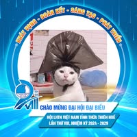 Ảnh đại diện của Sun Idea